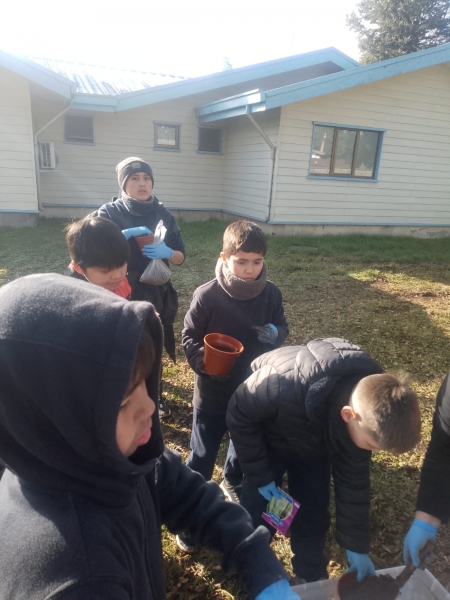 Visita Forjadores Ambientales Invernadero Pailahueque